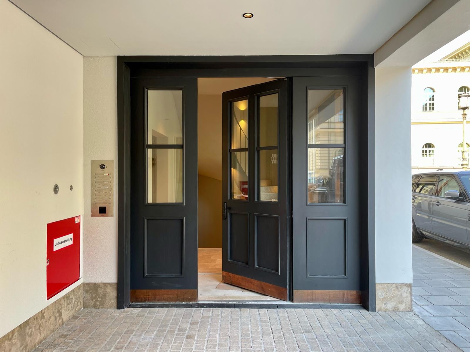 Black pivot exterior door with glass panels
